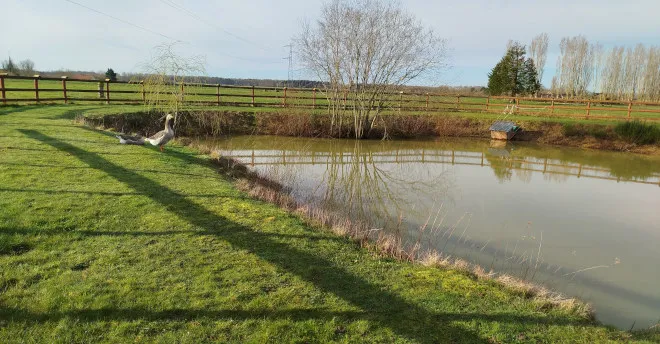 La mare de l'Aubrière, chambres d'hôtes à Juignettes